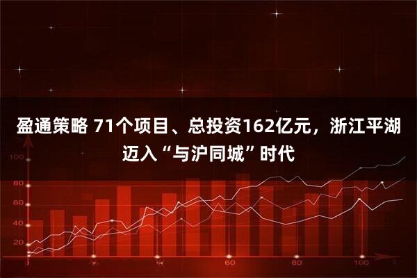 盈通策略 71个项目、总投资162亿元，浙江平湖迈入“与沪同城”时代